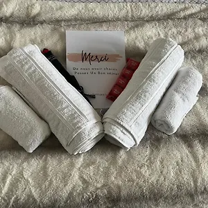 Appartement Luxueux Au Coeur De Lille